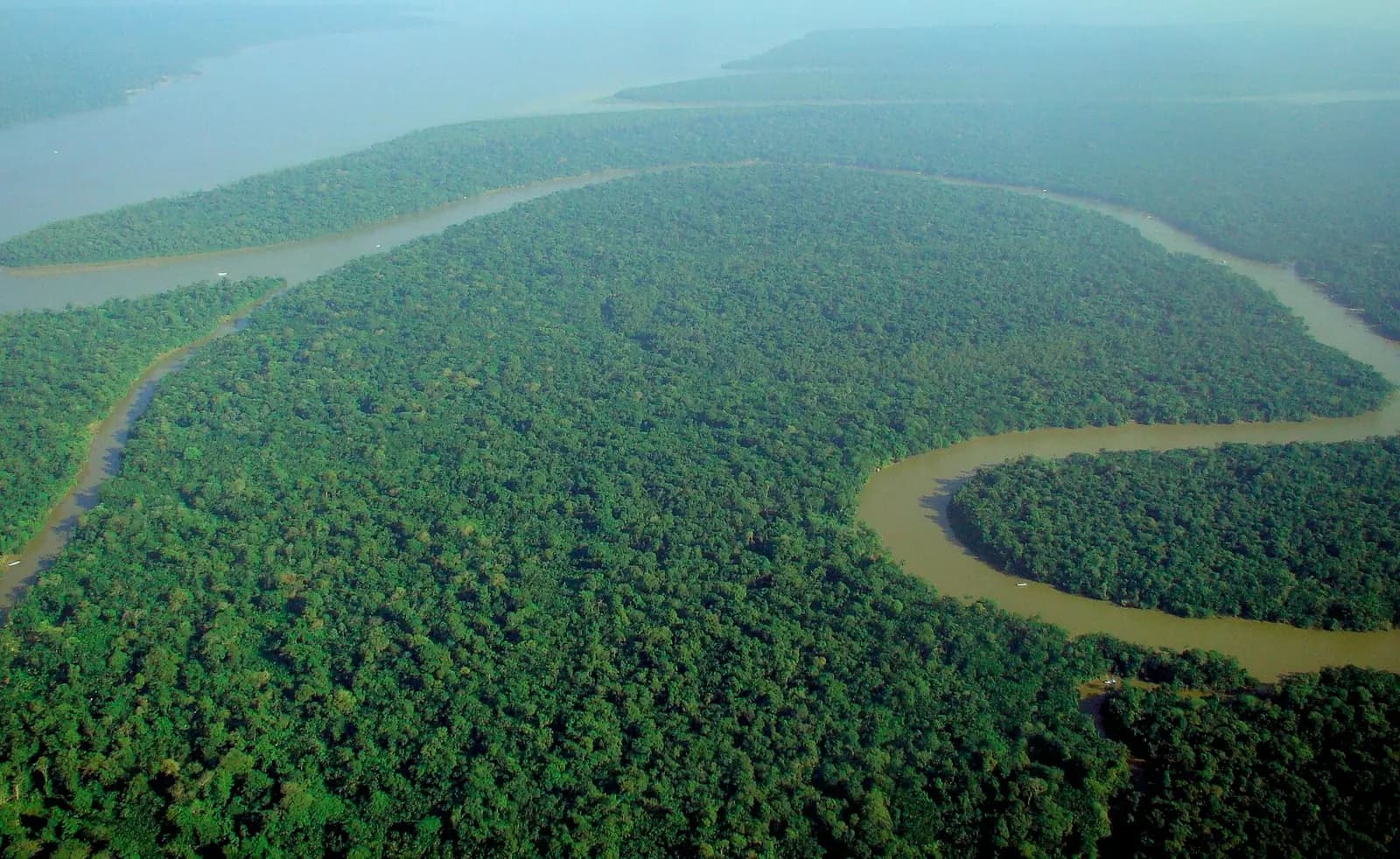 Vista aérea da floresta amazônica, com copas de árvores densas até o horizonte